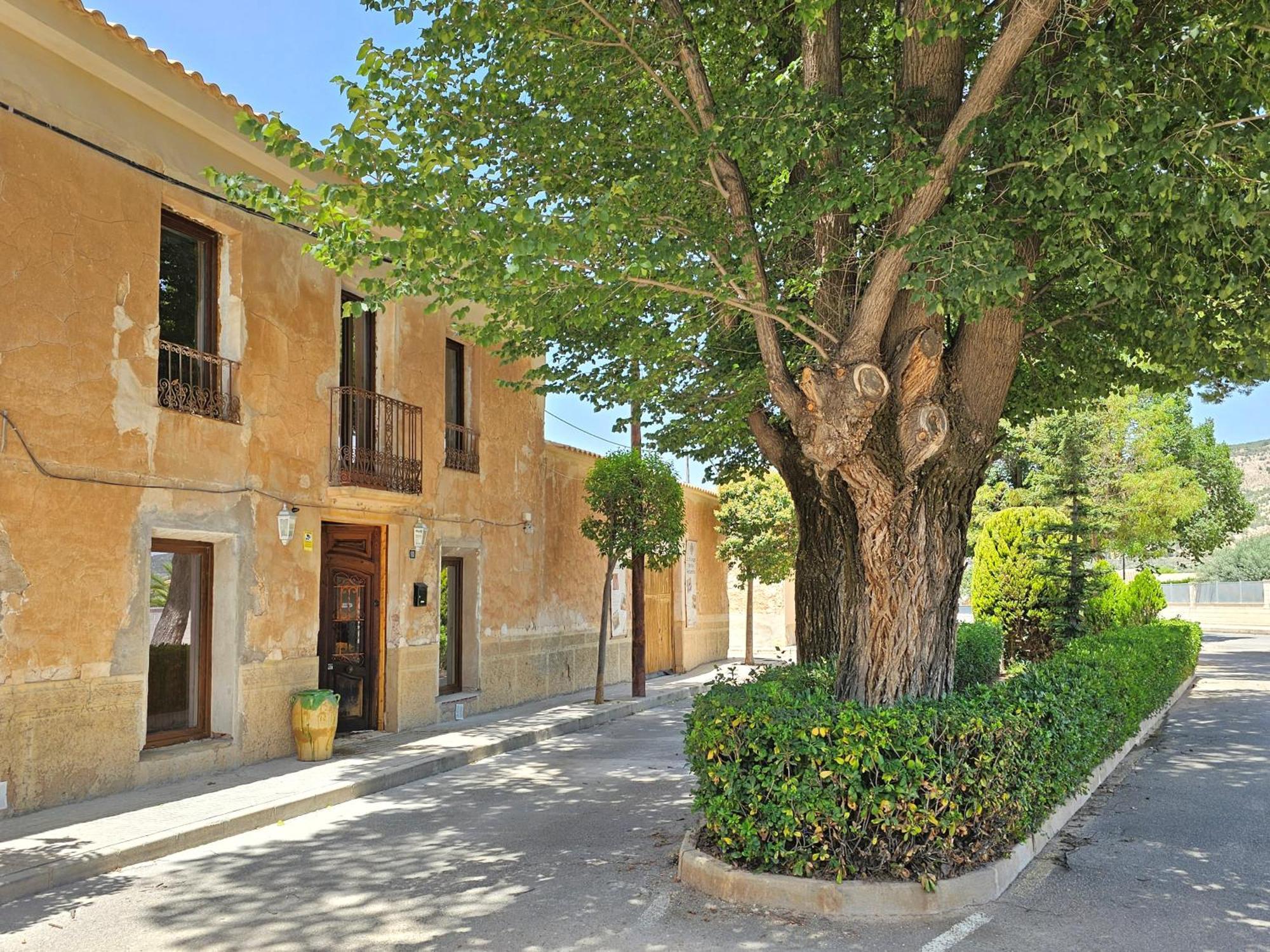 Casa Rodriguillo Bed & Breakfast Pinoso Bagian luar foto